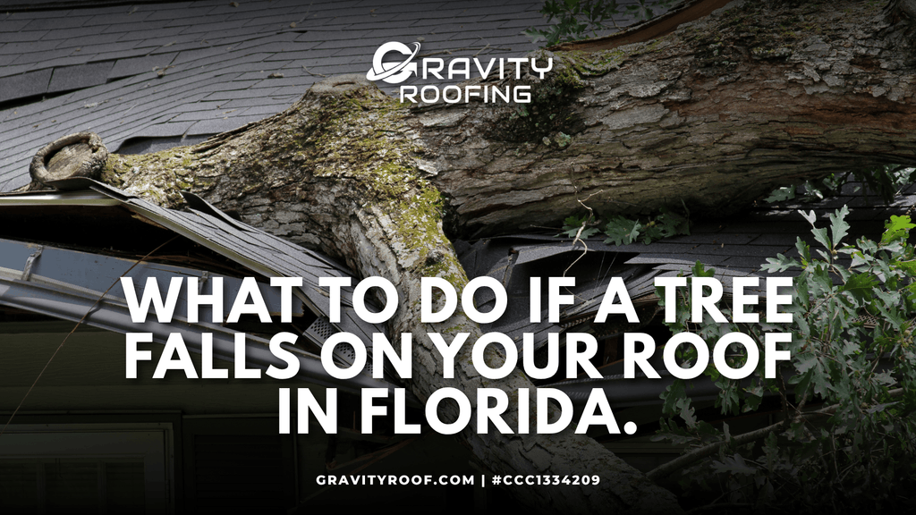 What to do if a tree falls on your roof
